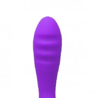 Classic G-Spot Vibrator, 12 Function, Silicone, PURPLE